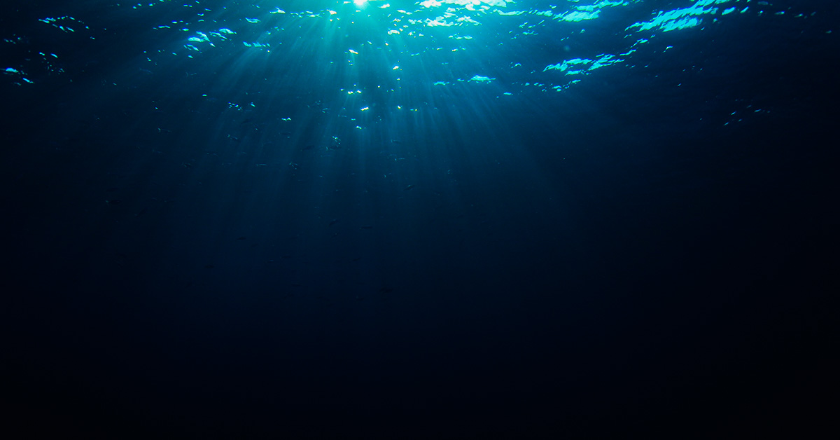 Scientists Make Eerie Discovery While Investigating Mariana Trench