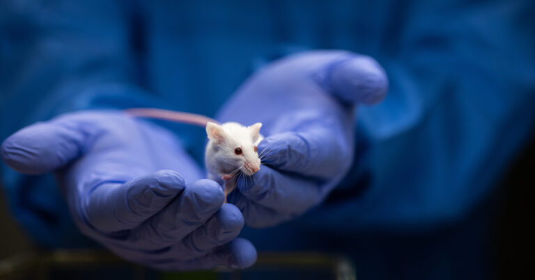 Study Finds Weight Loss Medication Semaglutide May Shrink Heart Muscle Tissue - Featured image