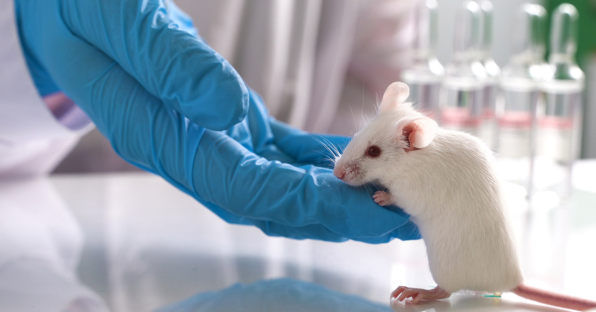 Breakthrough Breast Cancer Drug Eliminates Tumors in Mice