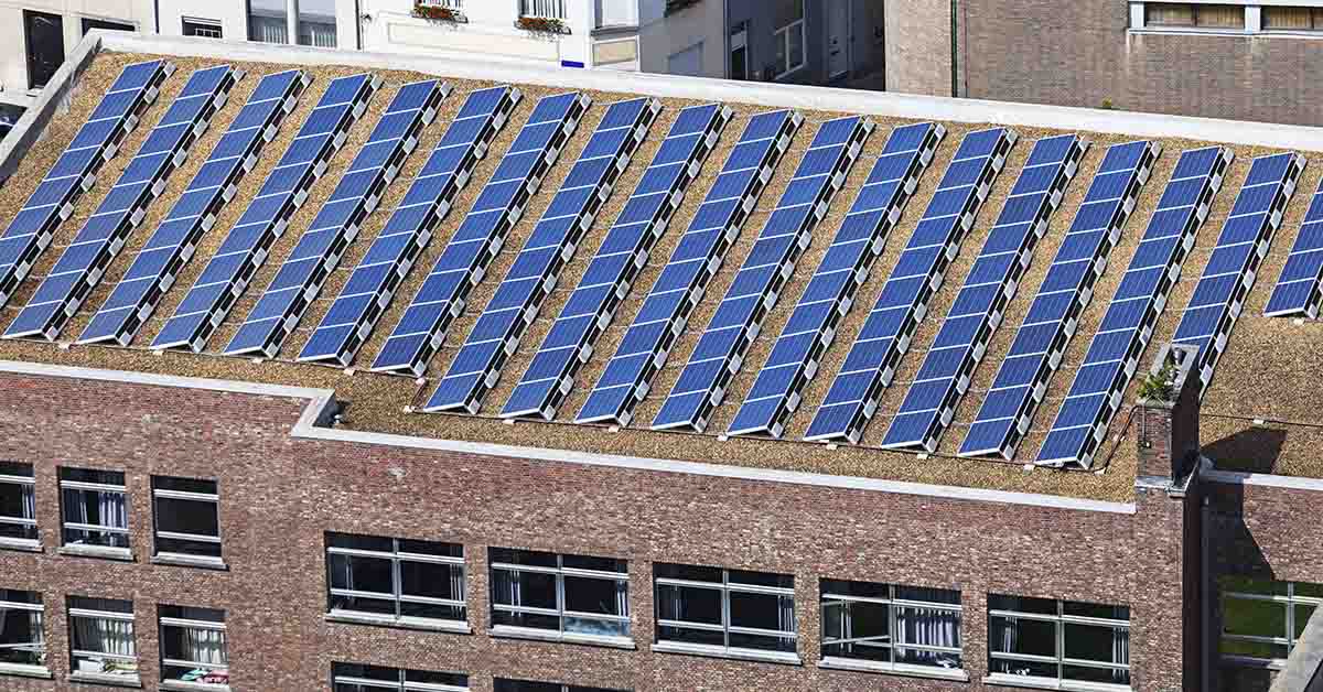 School District Turns to Solar Power, Teachers Get Raise from Savings