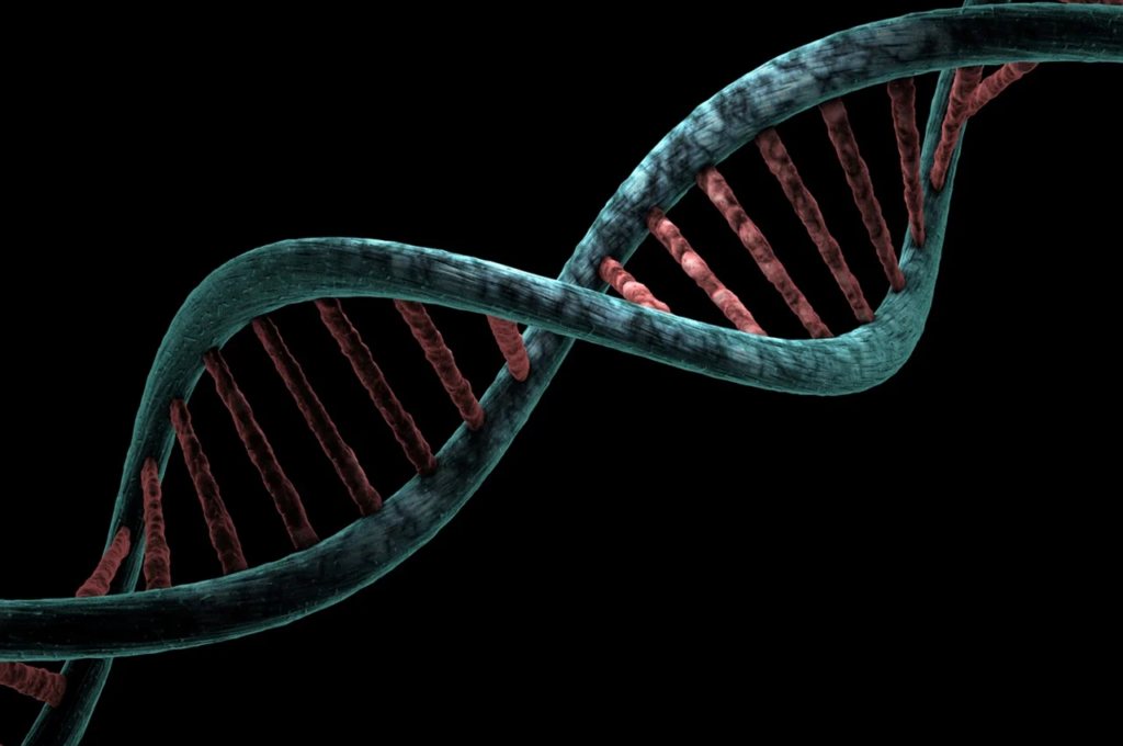 closeup of a DNA strand