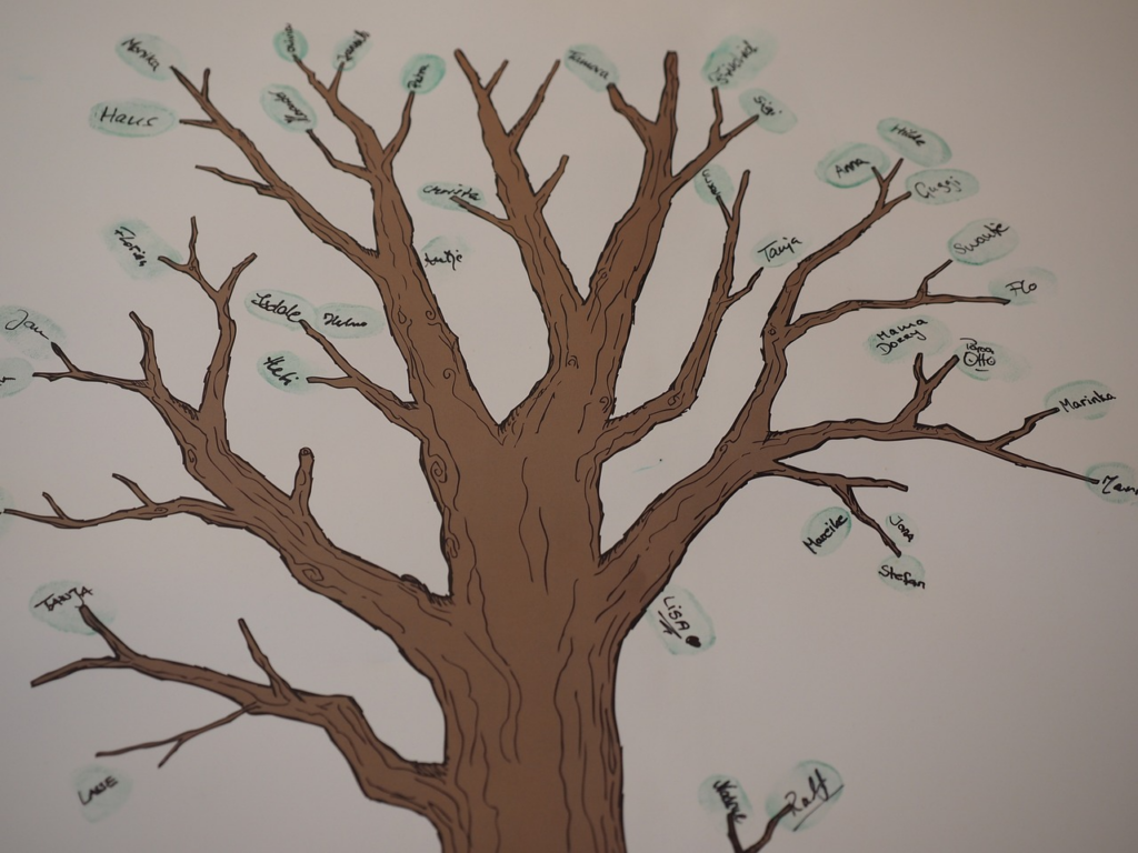 a family tree