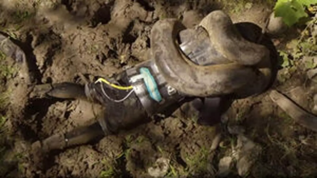 The 20ft long snake latched onto the daredevil's head while wrapping itself around him