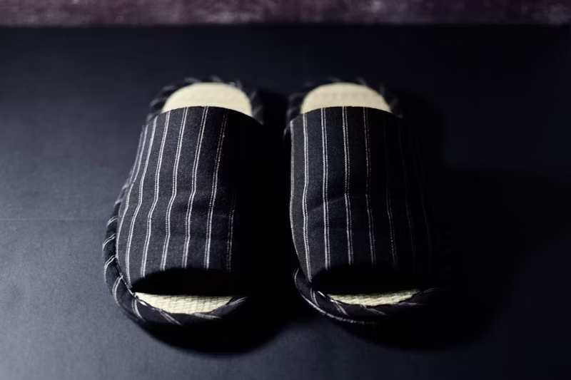 a pair of indoor slippers