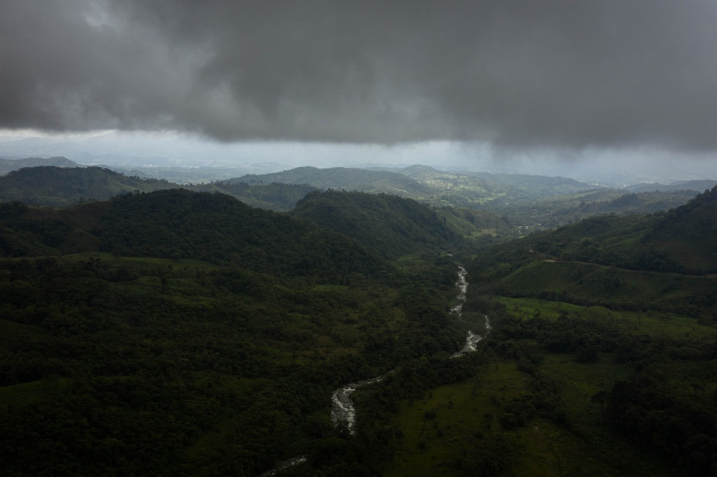 The Amazon Rainforest