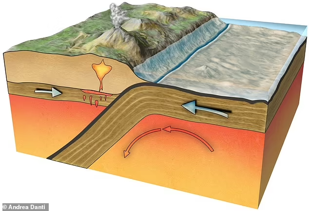 Seismic activity can be detected along the tectonic plate's borders, where the plates rub up against each other. But plates have since disappeared into Earth's mantle by means of 'subduction' 