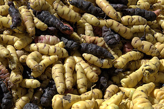 oca