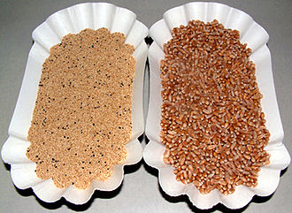 amaranth (left) and wheat (right)
