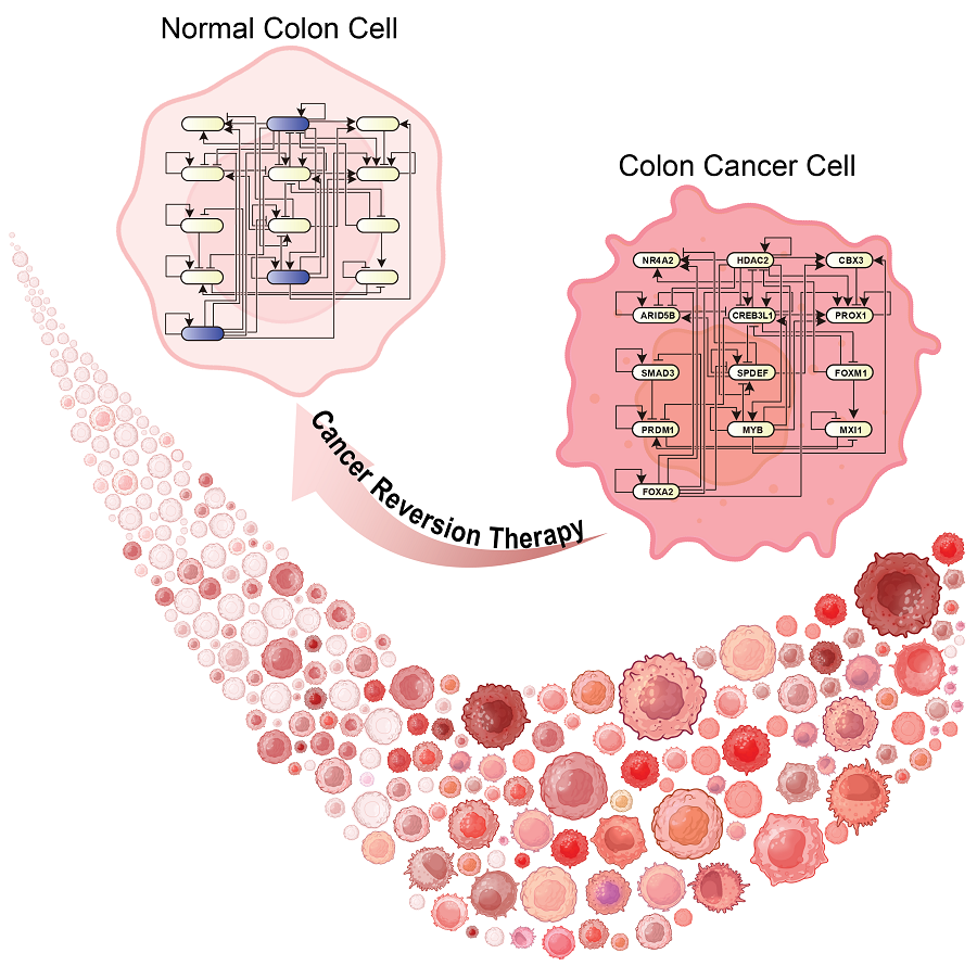 Schematic diagram of the research results.