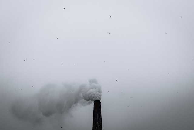 air pollution 