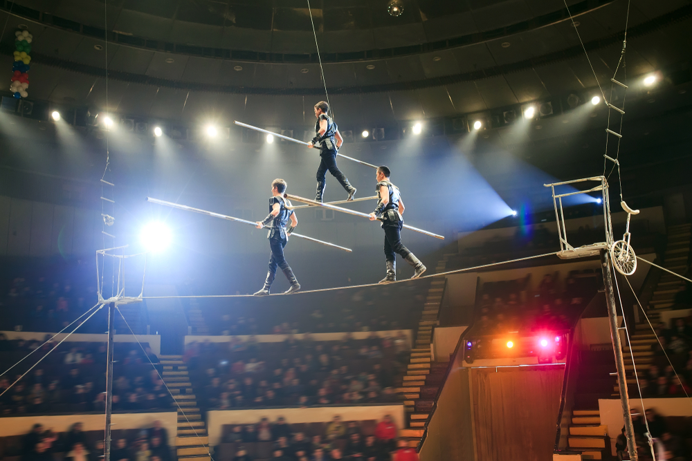 Tightrope walkers at the circus.