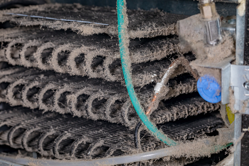 Dirty refrigerator condenser cooling coils covered in dust and pet hair. Concept of household chores, appliance repair, maintenance and service.