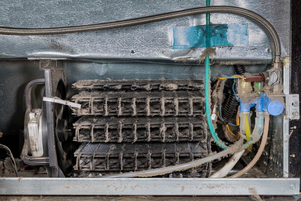 Dirty refrigerator condenser cooling coils covered in dust and pet hair. Concept of household chores, appliance repair, maintenance and service.