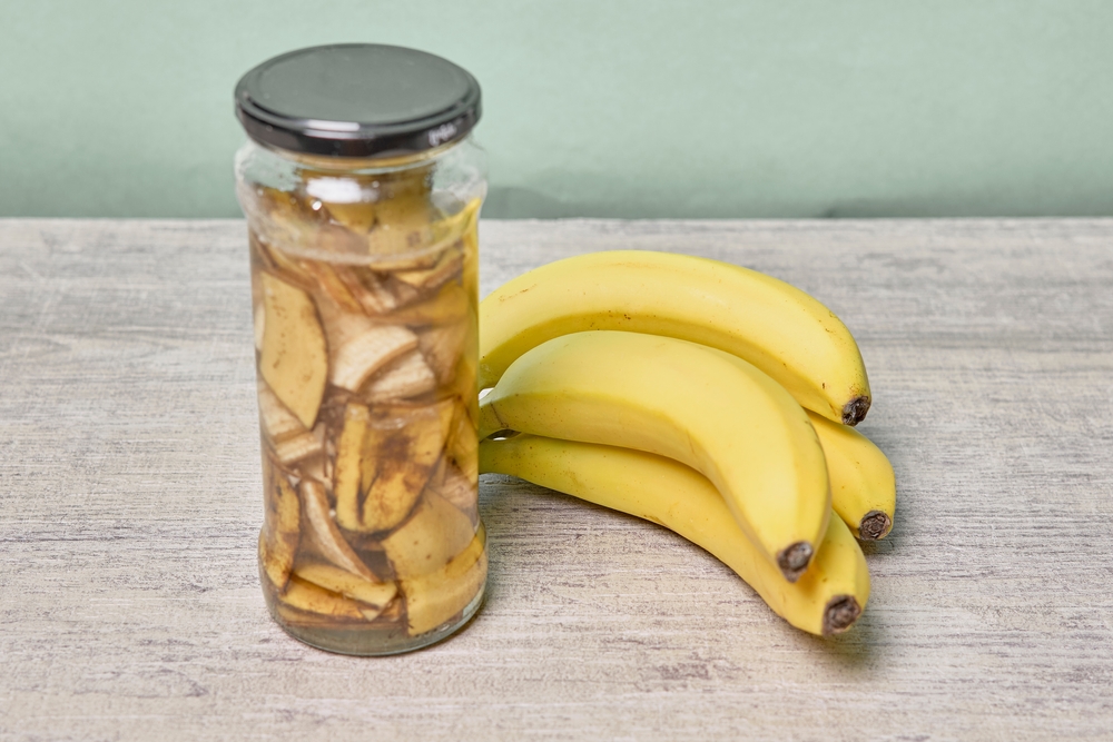 A jar filled with banana peel cuts and water. Banana peel for plant fertilization. Eco friendly natural way of fruit waste compost. Banana peel compost
