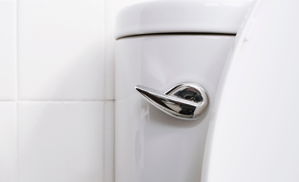 Handle of flush toilet. Press for cleaning and hygiene. Concept of flushing away something.
