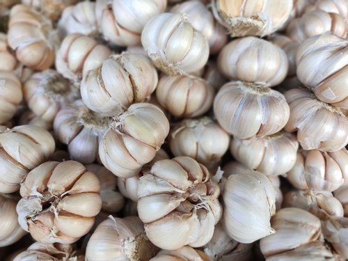 Known as Garlic, it is the name of a plant from the genus Allium which is useful for controlling cholesterol and immunity.