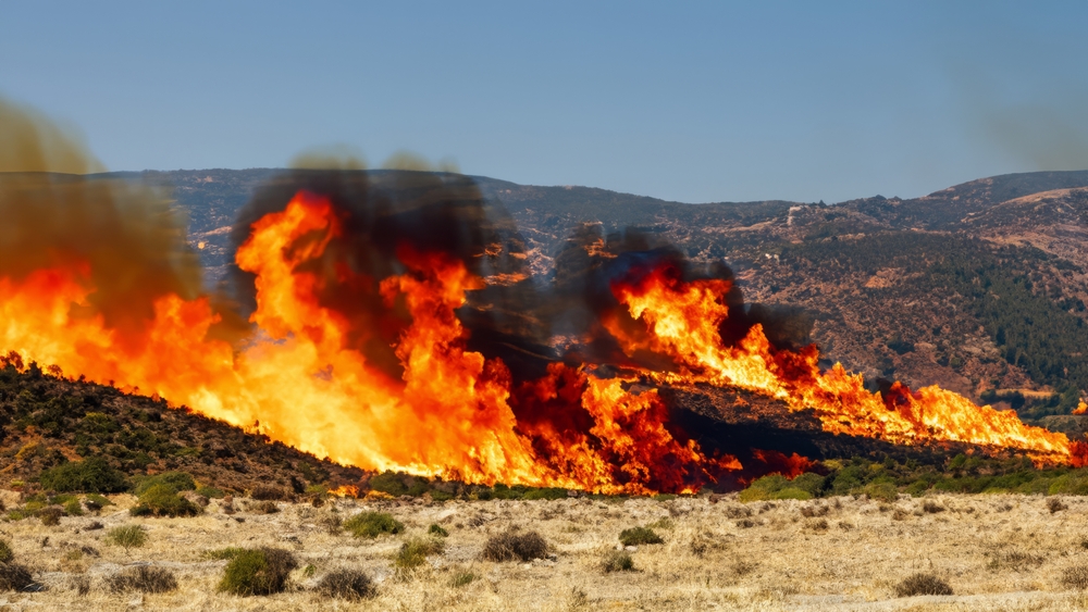 Dry landscape wildfire burning grass

