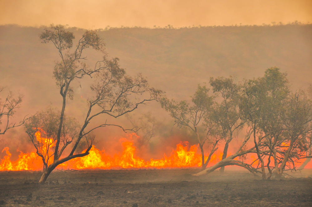 Australian outback bush fires
