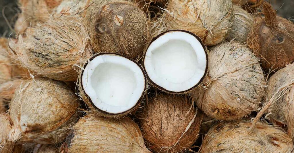 10 Unusual Uses for Coconuts - Featured image