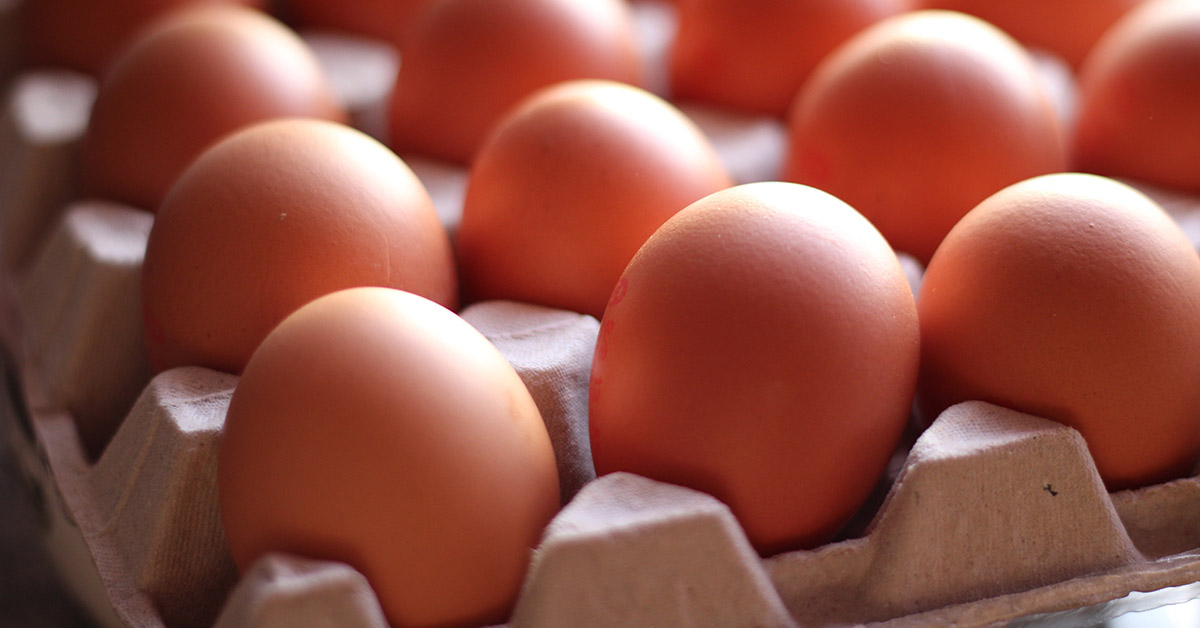 Common Breakfast Food May Lower Alzheimer’s Risk, New Study Finds