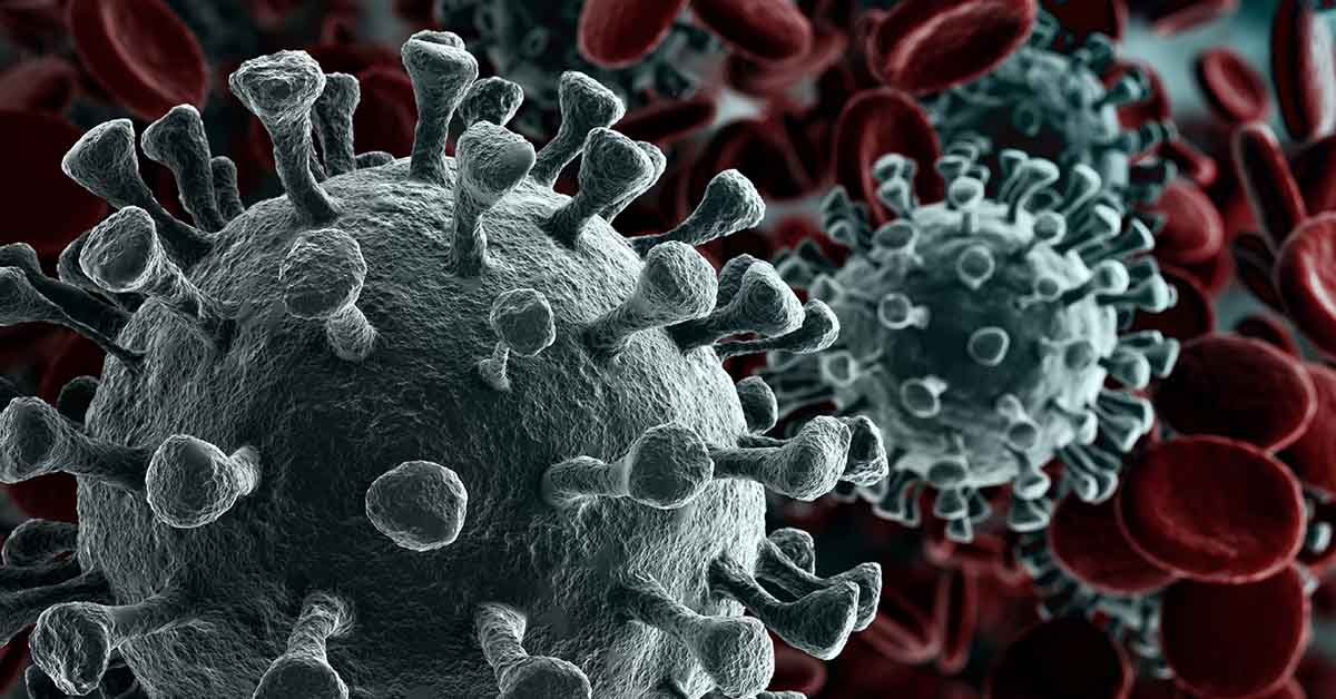 8 Diseases That Could Lead To The Next Pandemic