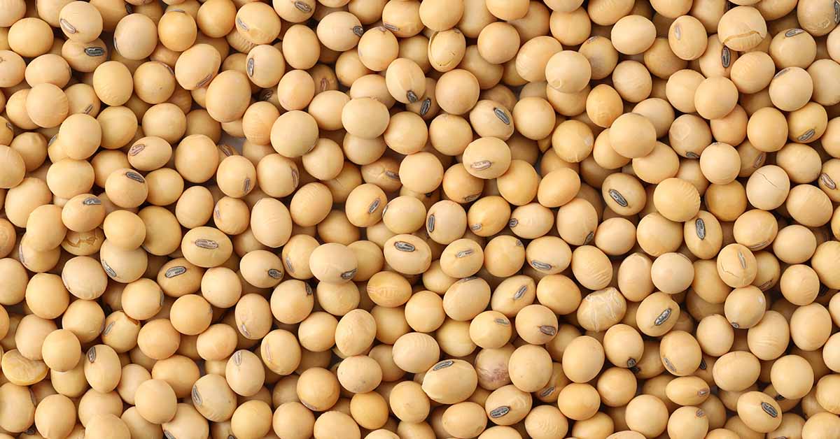 Should People with Thyroid Problems Avoid Soy?