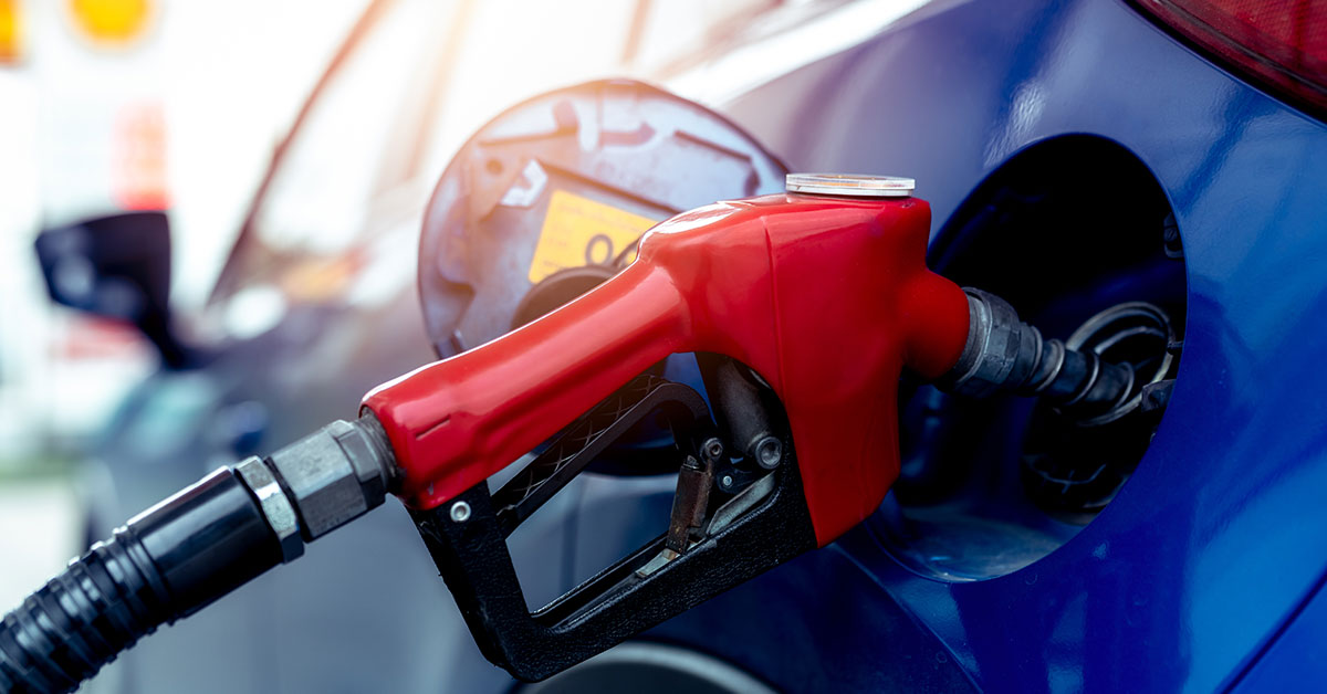 Is the Move to Ban Gas Cars a Risk to Personal Liberty?