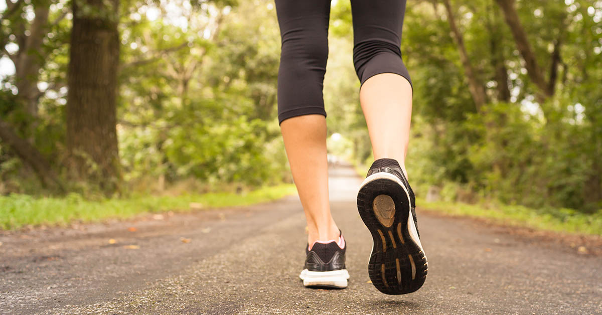 Walking Just Three Times a Week Can Grow the Hippocampus and Sharpen Memory: 5 Remarkable Benefits of Walking