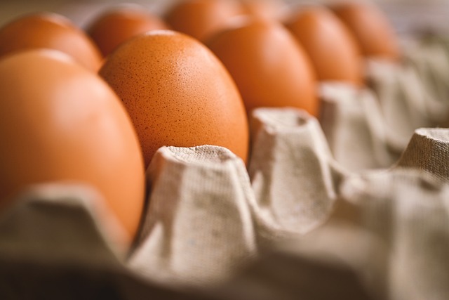 eggs in a carton