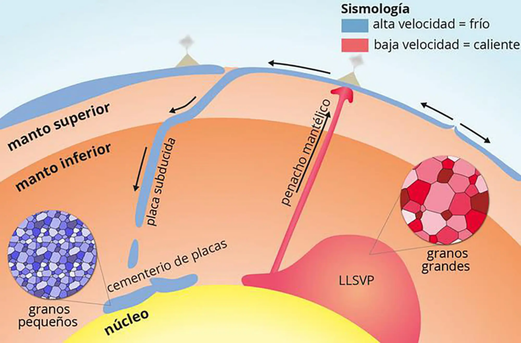 The larger grain on the massive structures located between the Earth's mantle and core