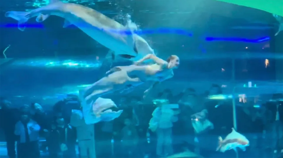 Masha swimming away from the sturgeon