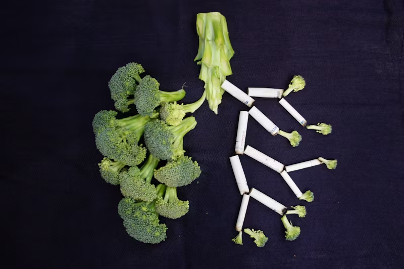 a healthy lung and a tobacco lung
