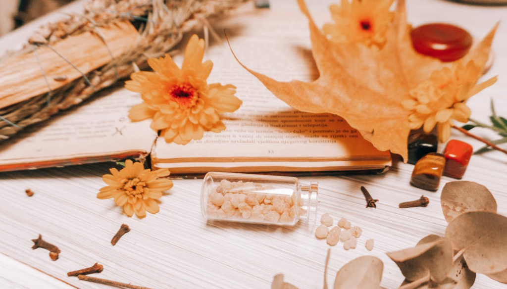 Orange Flower on White Book Page