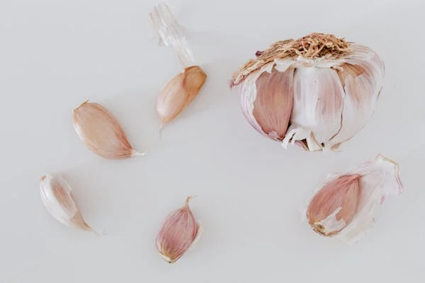 Head of dried garlic with cloves around it
