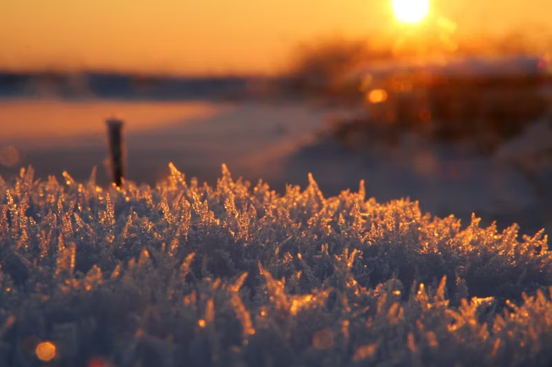 sun rising in the winter
