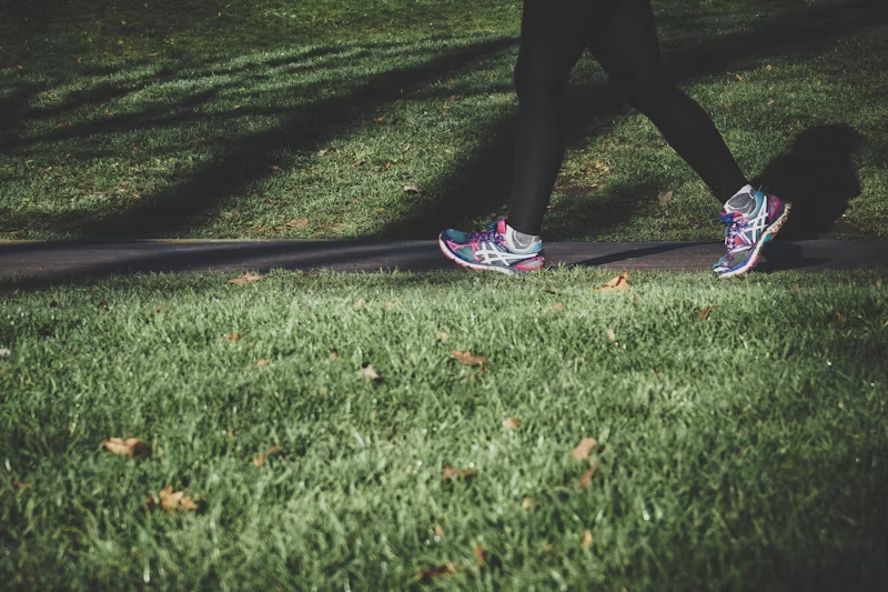 a person walking through a green space