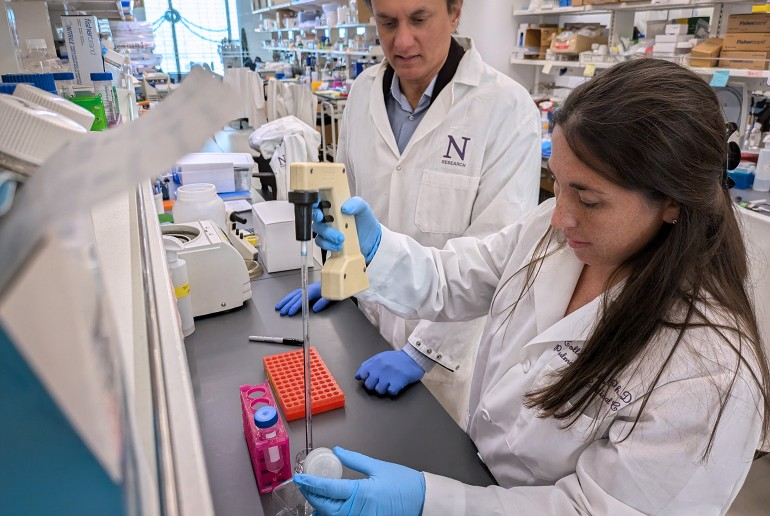 Northwestern University Feinberg School of Medicine members in Chandel’s lab.