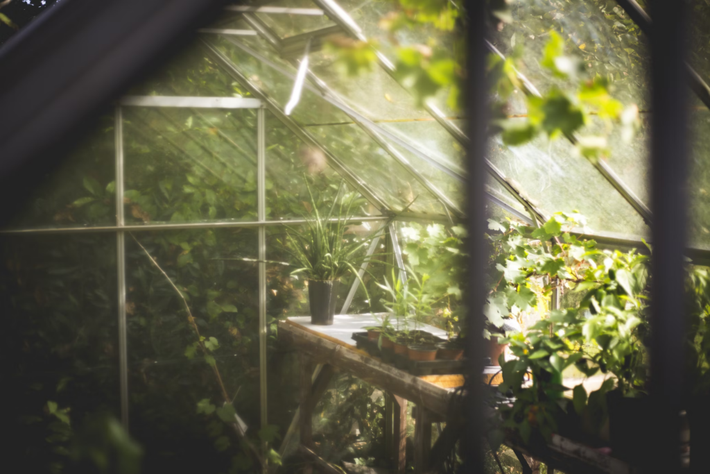 Inside a greenhouse, diverse plants thrive in an environment mimicking the body's natural egg-maturing conditions.
