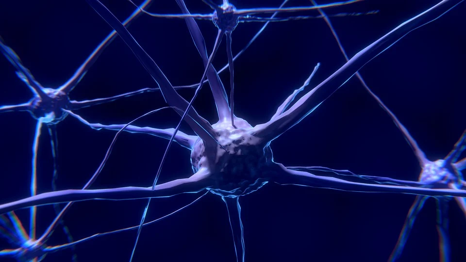 Detailed close-up of a neuron set against a dark blue backdrop, emphasizing its complexity and role in brain health.