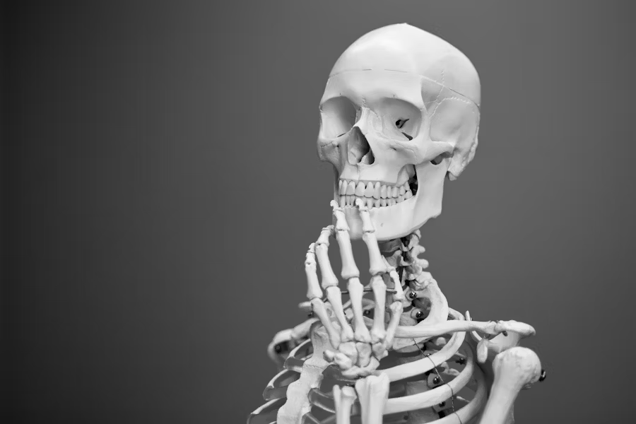 a skeleton lost in thought