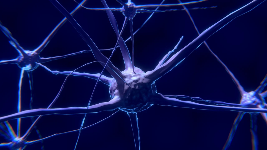 nerve endings