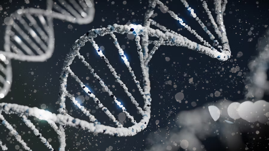 strands of DNA