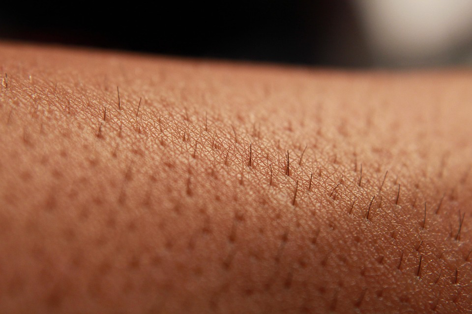 Close-up of a person's arm showing a small patch of skin, highlighting potential signs of hair loss and health concerns.