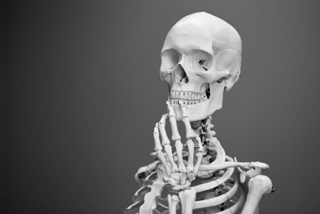 greyscale photography of skeleton
