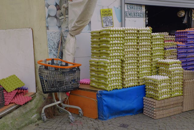 cartons of eggs