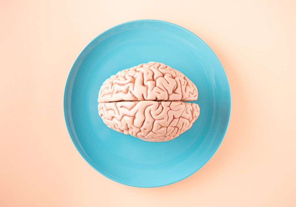 Brain Model on Plate
