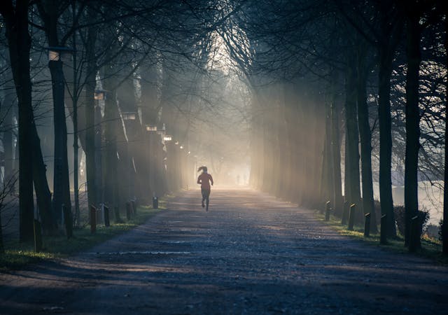 woman jogging on road surrounded by trees