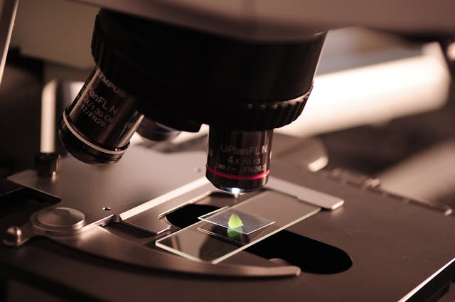 microscope close up 