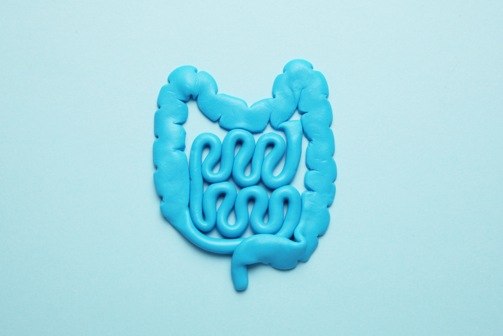 Intestines and pills, probiotics, antibiotics. Gut protection, recovery from illness and treatment.
