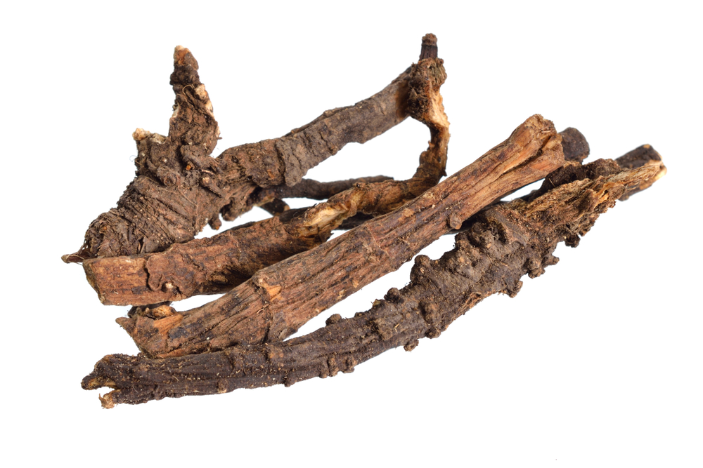 Ligusticum porteri, known as Osha. Dried roots. Isolated on white background.